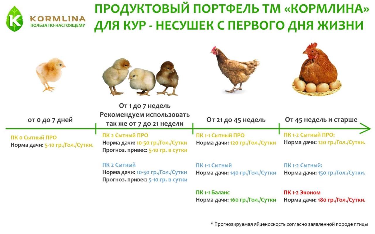 Комбикорм Несушка Веждень | Архангельск | Korm29.ru